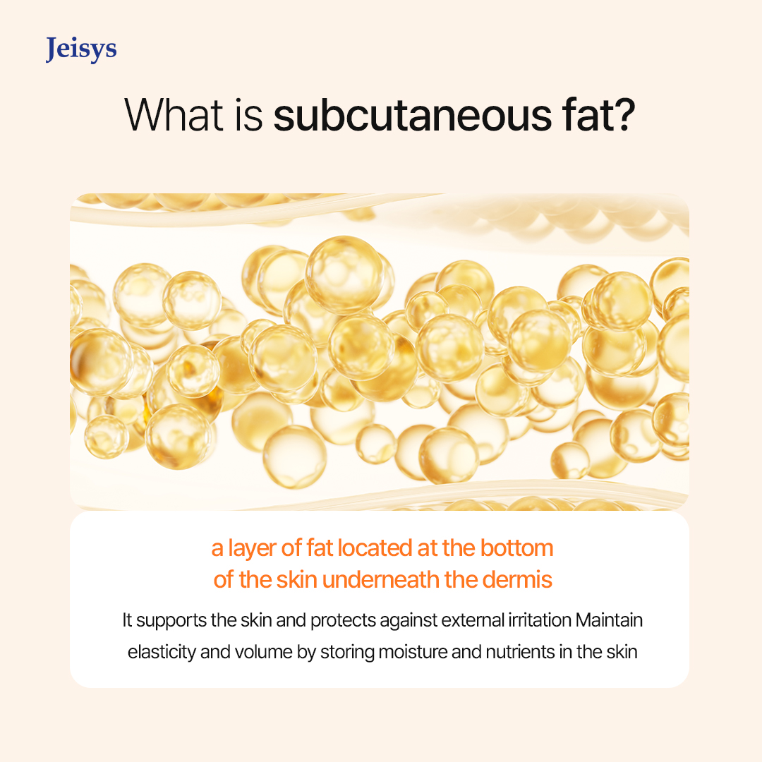 Skin Layers Diagram