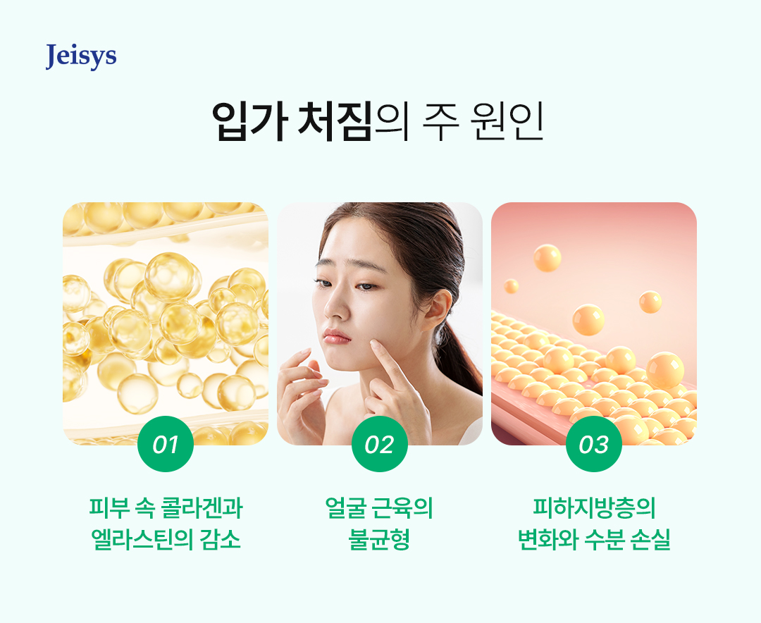 입가 트렌드 이미지