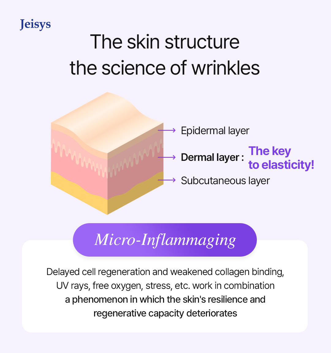 Skin Aging Image
