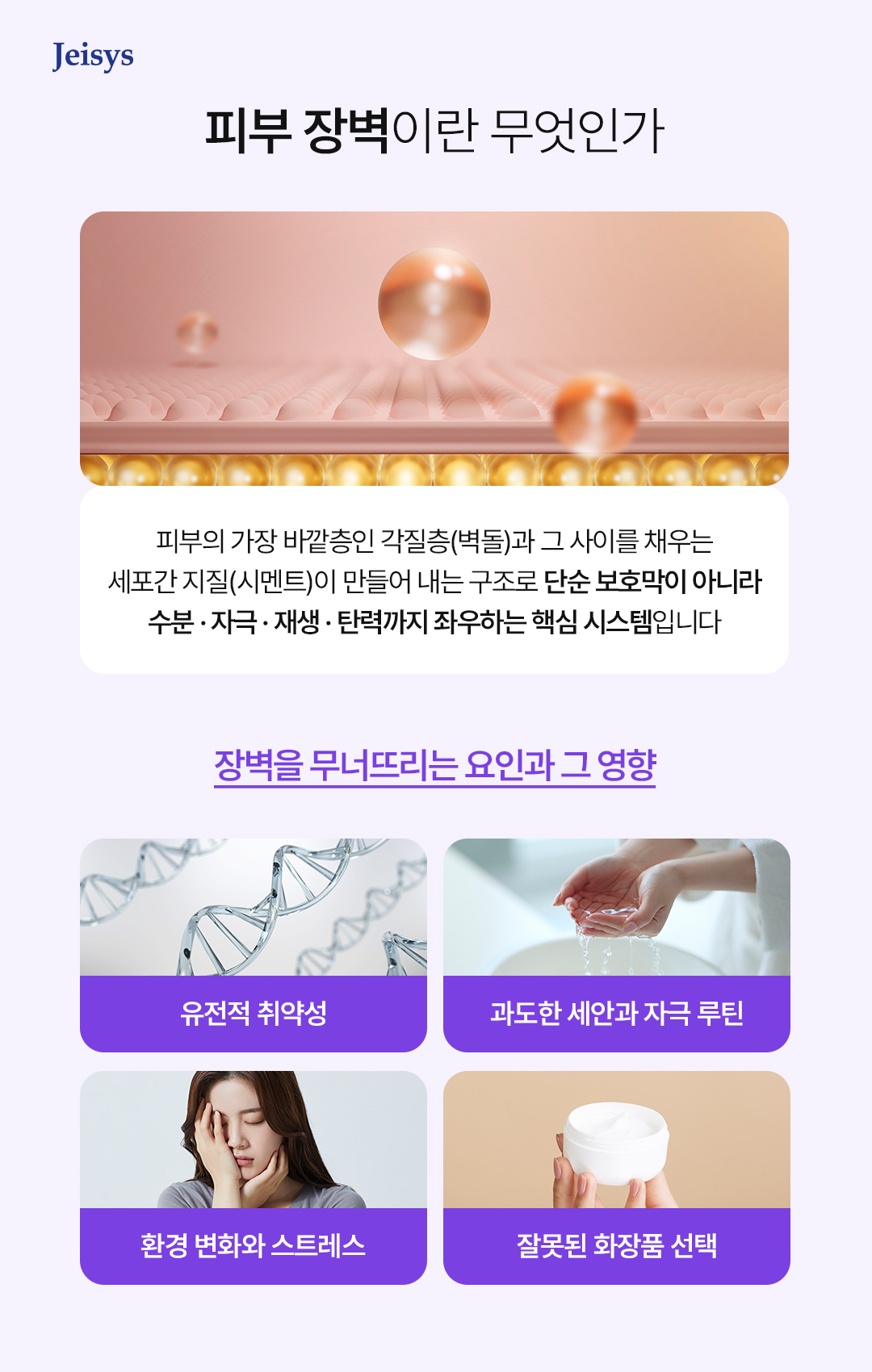 피부 장벽 구조 이미지